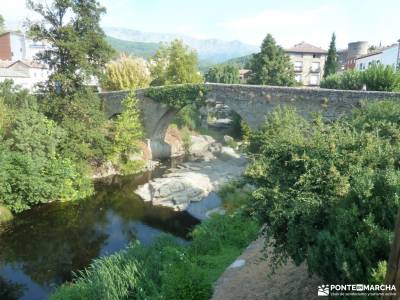 Senda de los Pescadores,Arenas de San Pedro;arbol taxaceo fotos de la sierra de cazorla senderismo l